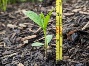 Define your baseline emissions