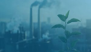 Enviro-Stewards Complete Sustainability Solutions