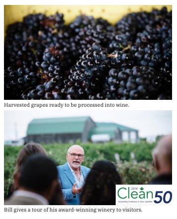 Case Study: Southbrook Winery from Enviro-Stewards